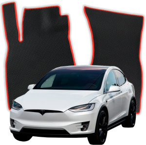 Tesla Model X Long Range Plus 6 Seater 1 gen SUV (2015-2025)