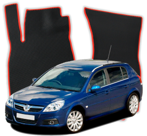 Opel Signum 1 gen Station Wagon (2003-2008)