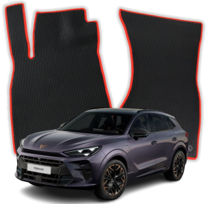 Cupra Terramar 1 gen SUV (2024-2025)