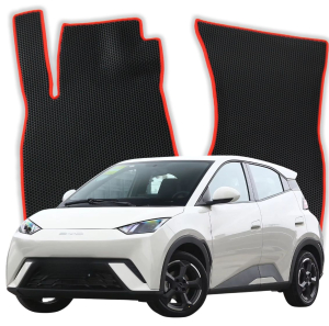 BYD Seagull 1 gen Hatchback 5 doors (2023-2025)