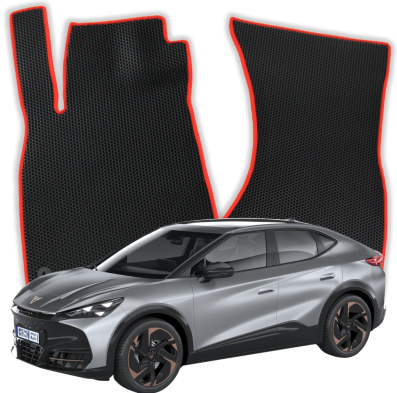Cupra Tavascan 1 gen SUV 5 doors (2023-2025)