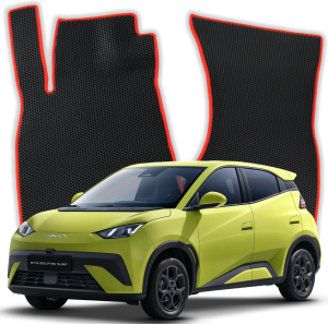 BYD Dolphin Surf 1 gen SUV (2021-2025)