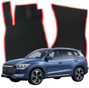 BYD S1 Pro  1 gen SUV (2024-2025)